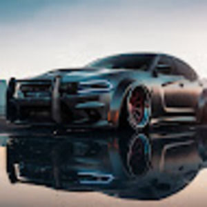 Meet your Posher, Chase